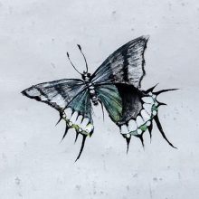papillon